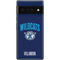 Villanova University Wildcats Google Pixel 6 Pro Skin